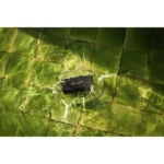 Marshall - Emberton II - Image 13